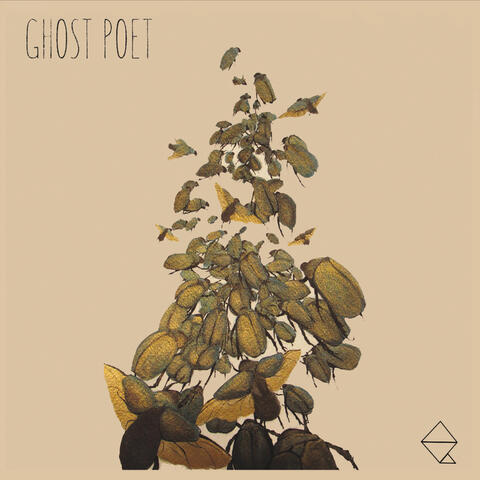 Ghost Poet