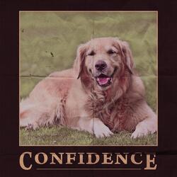 The Confidence Song