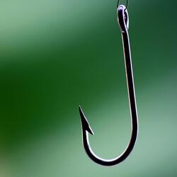 Caught on a Hook
