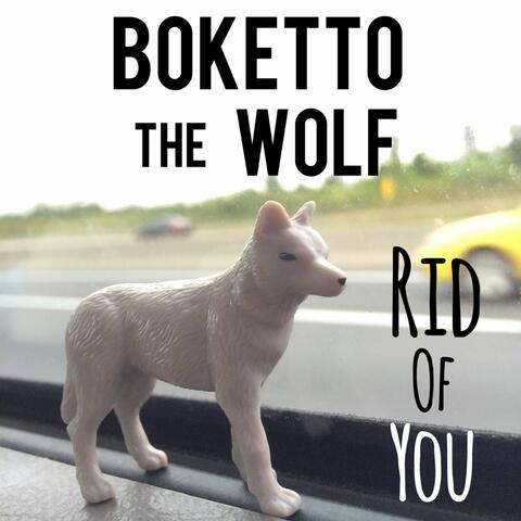 Rid of You