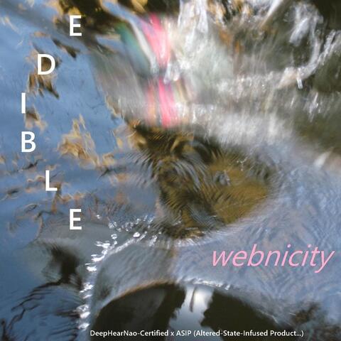 Webnicity