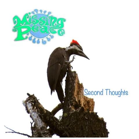 Second Thoughts