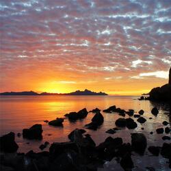 Saga of Longswords Battle