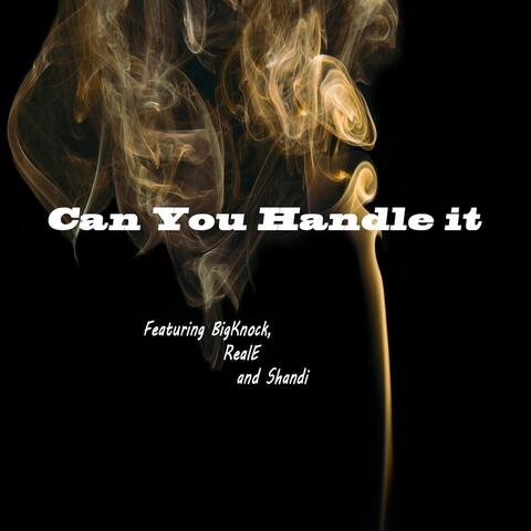 Can You Handle It (feat. Big Knock, Real E & Shandi)