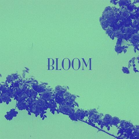 Bloom