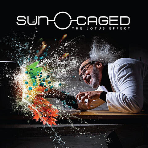 Sun Caged