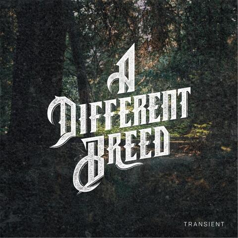 Transient