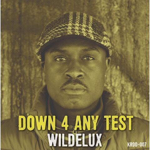 Down 4 Any Test