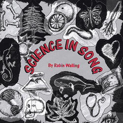 The Circulatory Song / Circulatory System