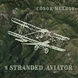 The Stranded Aviator Movement 2