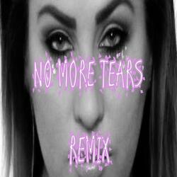 No More Tears (Remix)