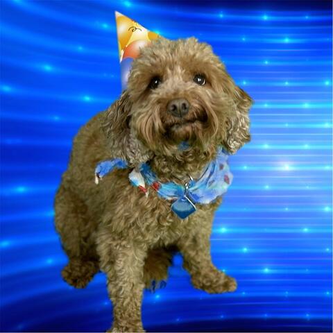 Happy Birthday! (Kids Dance Party Mix)