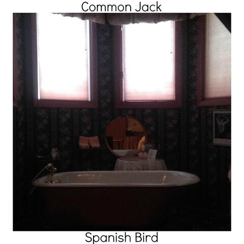 Spanish Bird