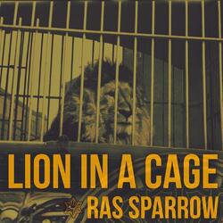 Lion in a Cage
