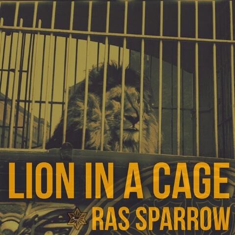 Lion in a Cage