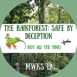 The Rainforest : Safe by Deception (Not All the Time)