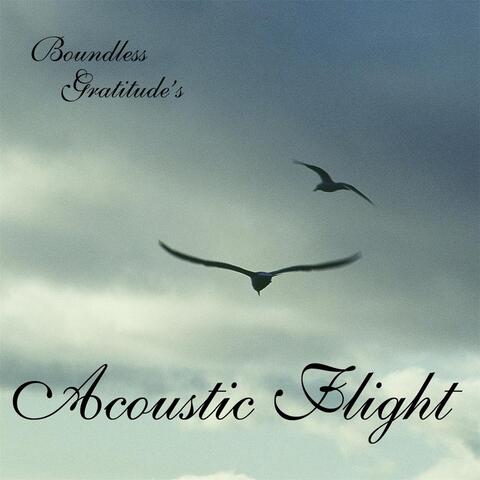 Acoustic Flight