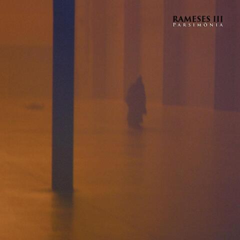 Parsimònia (Deluxe)