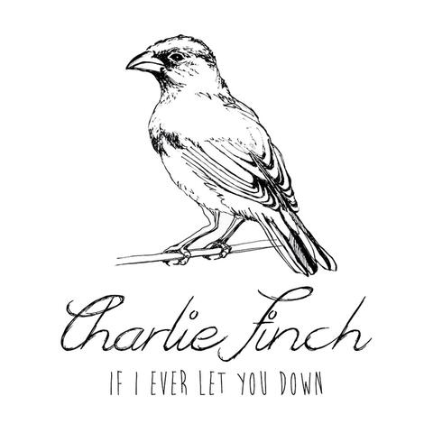 If I Ever Let You Down