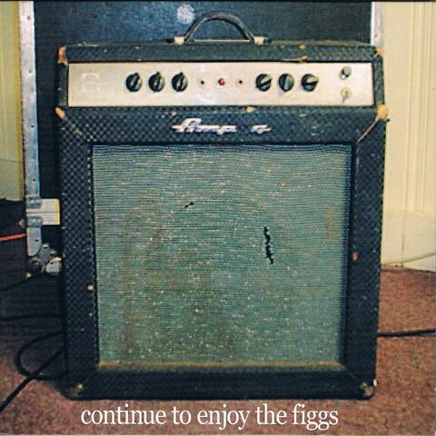 Continue to Enjoy the Figgs
