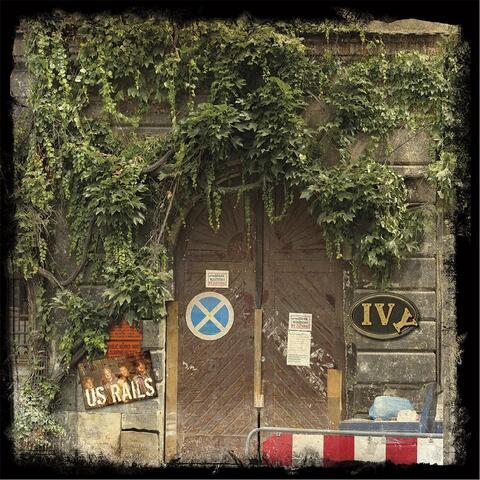 Ivy