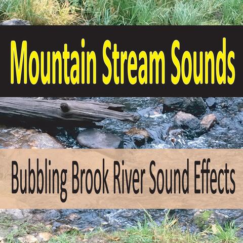 Mountain Stream Sounds (Bubbling Brook River Sound Effects)