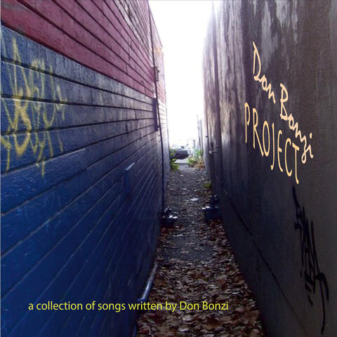 The Don Bonzi Project