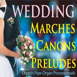 Ode to Joy Processional