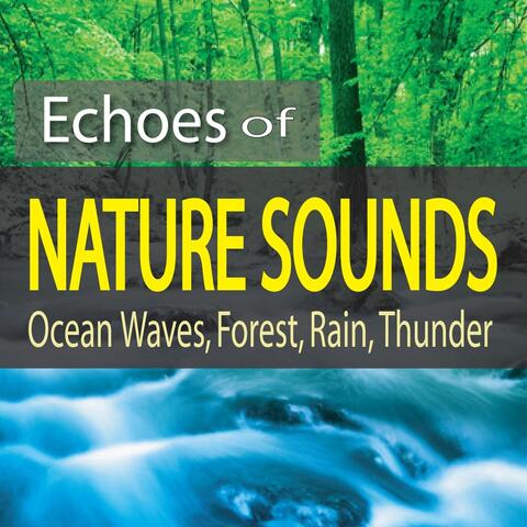 Echoes of Nature Sounds (Ocean Waves, Forest, Rain, Thunder)