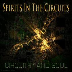 Spirits in the Circuits