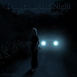 Danger in the Night