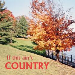 If This Ain't Country