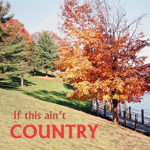 If This Ain't Country