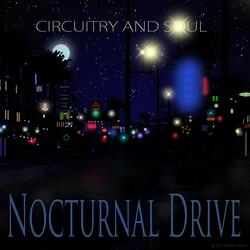Nocturnal Drive