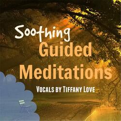 Guided Soothing Stillness Meditation