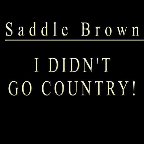 I Didn't Go Country!