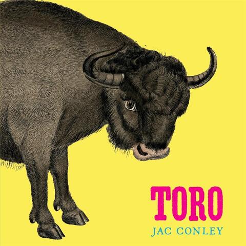 Toro