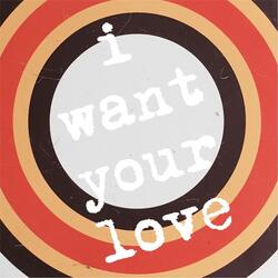 I Want Your Love