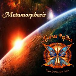 Butterfly Wonderland