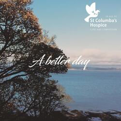 A Better Day