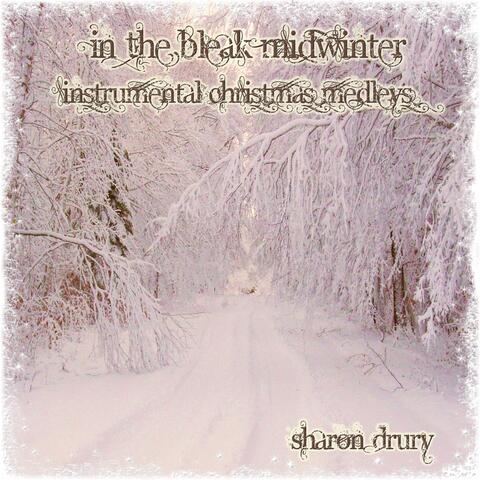 In the Bleak Midwinter (Instrumental Christmas Medleys)