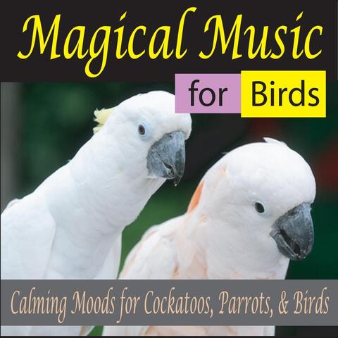 Magical Music for Birds: Calming Moods for Cockatoos, Parrots, & Birds