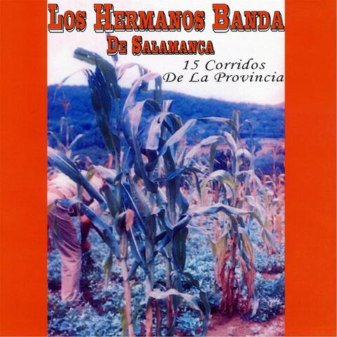 15 Corridos de la Provincia