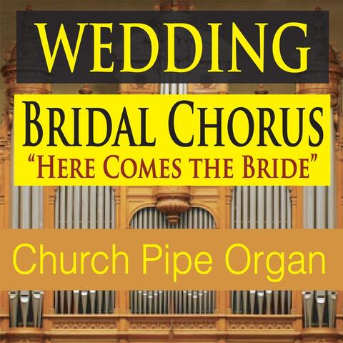 Wedding Bridal Chorus (Here Comes the Bride) [Church Pipe Organ]