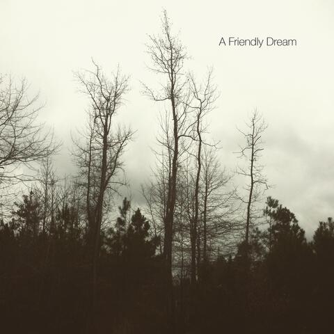 A Friendly Dream