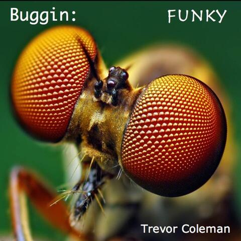 Buggin: Funky