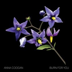 Burn for You