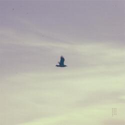 Ai Ondas Que Eu Vim Veer