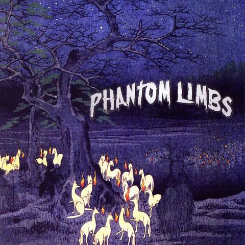 Phantom Limbs