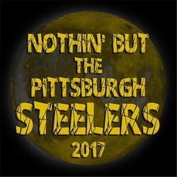 Nothin' but the Pittsburgh Steelers ( Radio Edit )